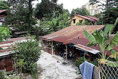 Buah Pala